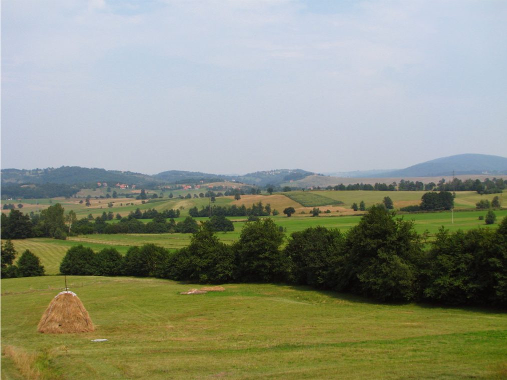 Zlatiborska polja zelena