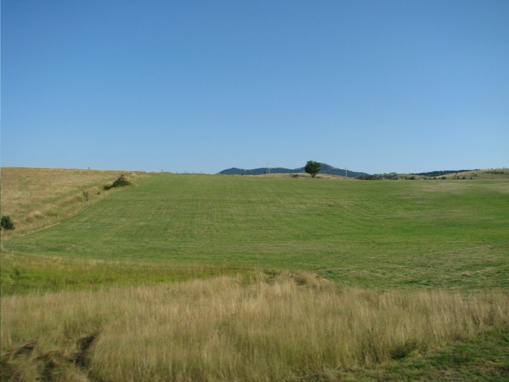 Zelena padina na Zlatiboru