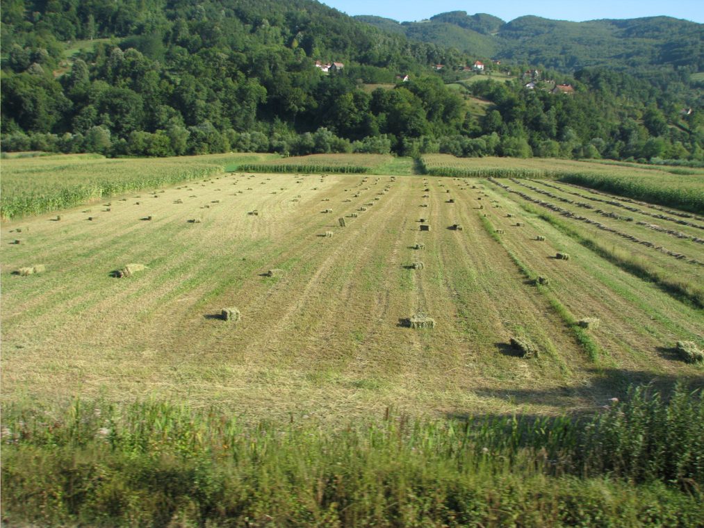 Njive u valjevskim planinama