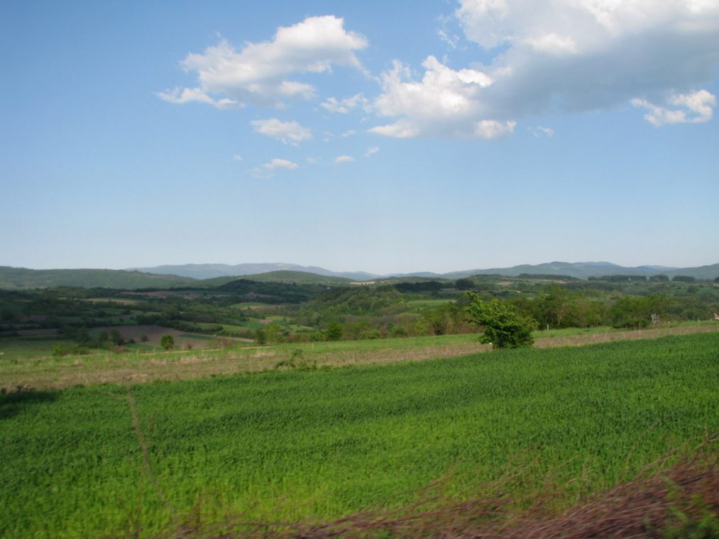 Zelena polja Istočne Srbije